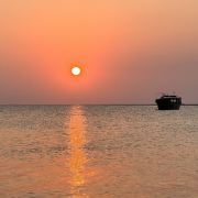 中国大陆南极村全攻略 门票、交通、游览路线与实用贴士