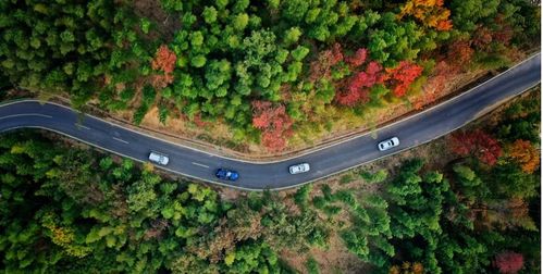 守护自然与人文瑰宝 天柱山风景名胜区的管理体系探索